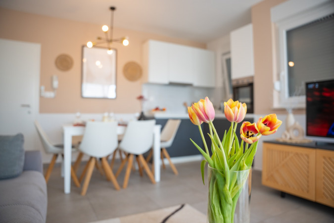 Apartment 4, Pool and Breakfast Apartments Villa Maro, Novalja - Pag - Croatia Novalja